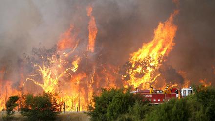 Feuer in Australien