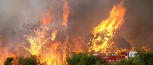 Feuer in Australien