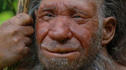 Neanderthaler