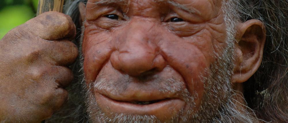 Neanderthaler