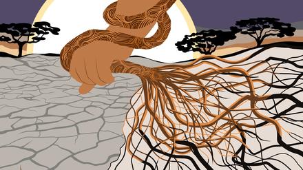 Der Klimawandel bedroht alle natürlichen Lebensgrundlagen - in Afrika erst recht.