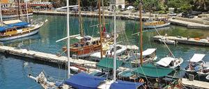 263364_0_9d9c203b.jpg