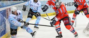 DEL 08 09 - Play-Off - Hamburg Freezers vs. Eisbaeren Berlin