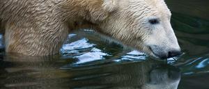 276949_0_c68b3a44.jpg