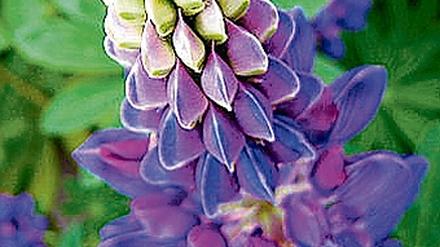 276804_0_86b0429c.jpg