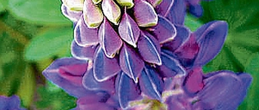 276804_0_86b0429c.jpg