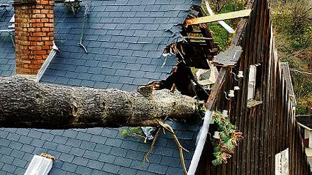 295616_0_531b39fe.jpg