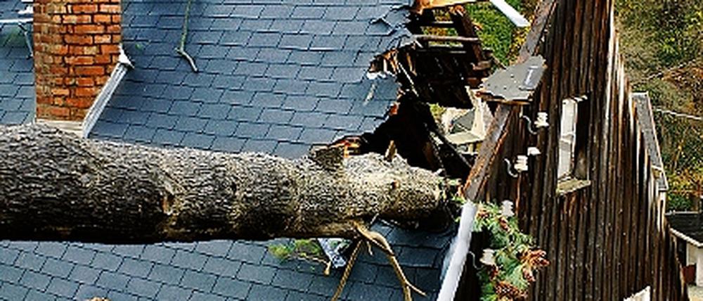 295616_0_531b39fe.jpg