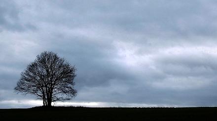 309596_3_xio-fcmsimage-20091111185700-006000-4afafaec3eba3.heprodimagesfotos871200911126766452.jpg