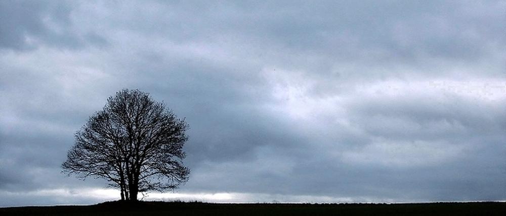 309596_3_xio-fcmsimage-20091111185700-006000-4afafaec3eba3.heprodimagesfotos871200911126766452.jpg