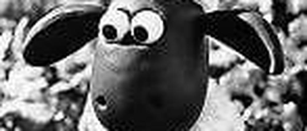Foto: dpa