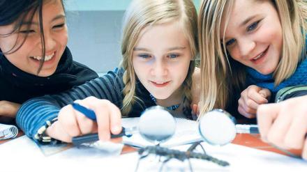 Bildung zählt. Die Schulen sollen besser werden; das ist das Ziel des Qualitätspakets von Bildungssenator Zöllner.