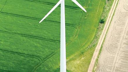 Propellerland. Brandenburg ist Spitze beim Thema Öko und Energie.