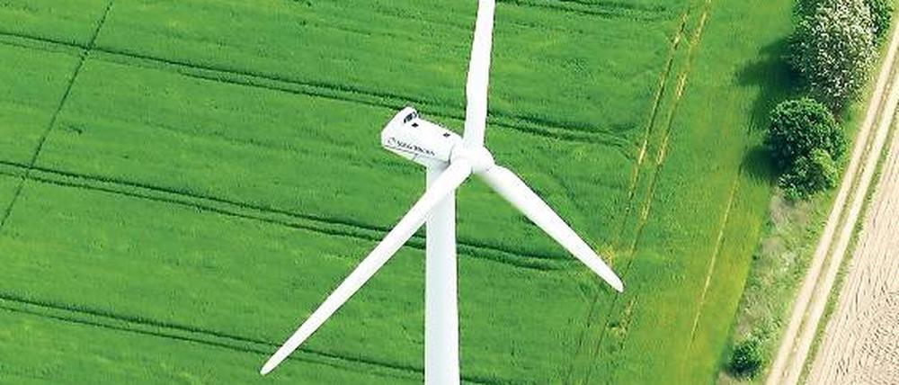 Propellerland. Brandenburg ist Spitze beim Thema Öko und Energie. 