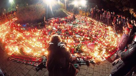 309742_0_afc01127.jpg