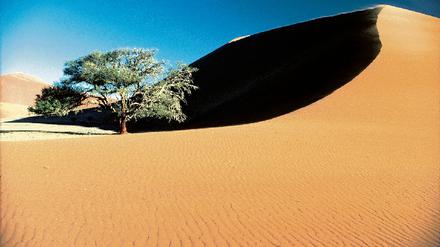 309827_0_06e8fc4f.jpg