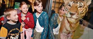 313035_3_xio-fcmsimage-20091203192728-006004-4b1803107d3b1.heprodimagesfotos83120091204dc-13308.jpg