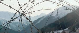 320128_0_29a6b6ff.jpg