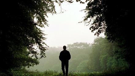 Ein entspannter Spaziergang im Wald.