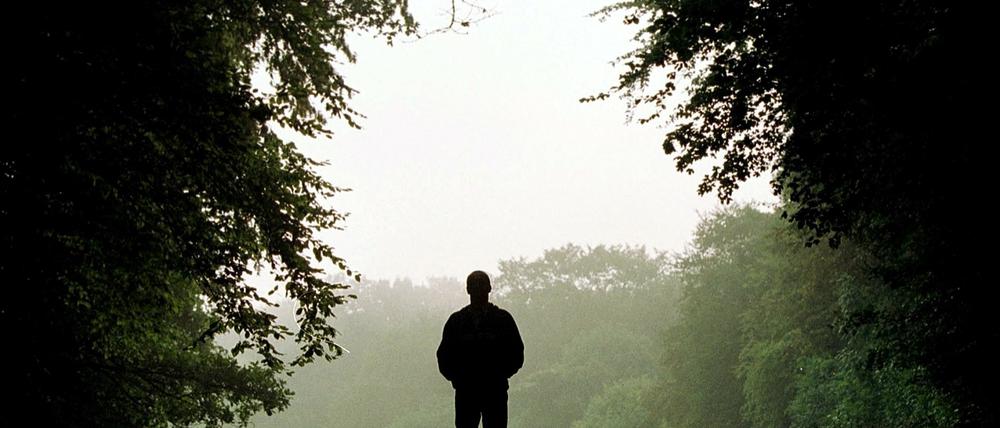 Ein entspannter Spaziergang im Wald.