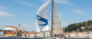 330380_0_caa0002b.jpg