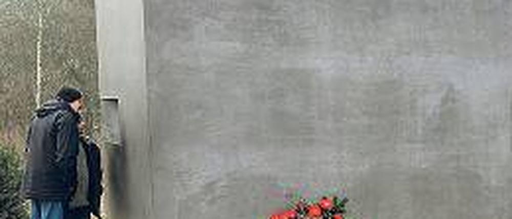 330650_0_fbab4539.jpg