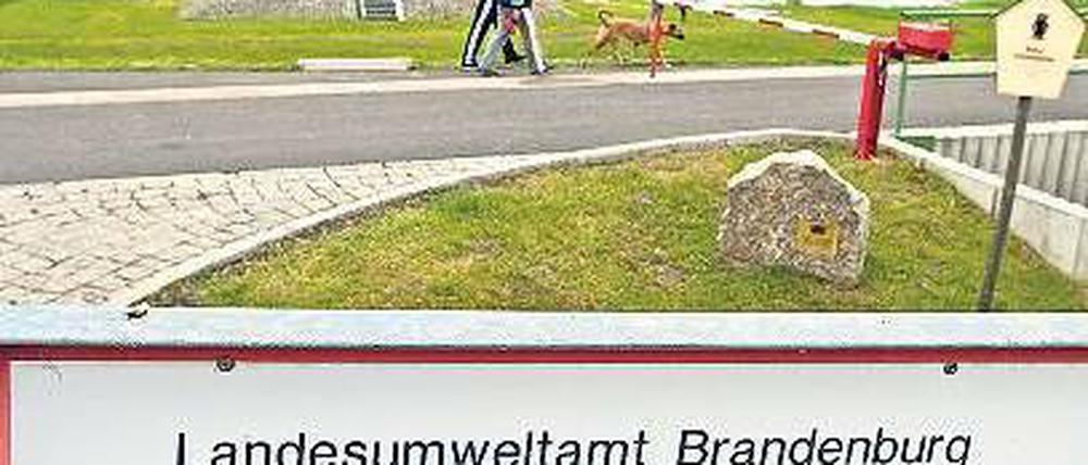 Auf dem Damm. Die Deiche an der Oder werden ständig kontrolliert. Foto: ddp