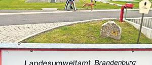 Auf dem Damm. Die Deiche an der Oder werden ständig kontrolliert. Foto: ddp