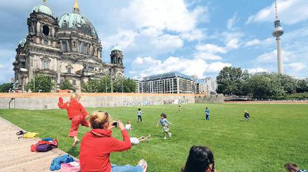 Bleibt die Wiese? Ab 2011 soll hier das Schloss wiederaufgebaut werden – falls der Bund das Geld nicht vorher sperrt.Foto: Axel Schmidt/ddp