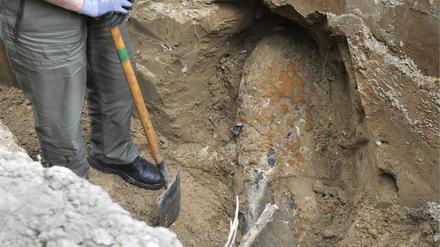 Eine 500 Kilogramm schwere Bombe aus dem Zweiten Weltkrieg wurde in Zehlendorf bei Kanalarbeiten gefunden.
