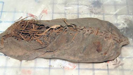 Ausgelatscht. Aus einem einzigen Stück Schweinsleder ist der 5500 Jahre alte Schuh gefertigt. 