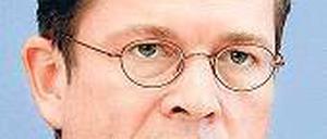 Verteidigungsminister Karl-Theodor zu Guttenberg.