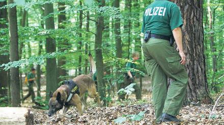 Suche im Tegeler Forst. Eine Hundertschaft der Polizei durchkämmte am Donnerstag das Waldgebiet an der Heiligenseestraße. In der Nähe war das Auto der vermissten Jugendrichterin Kirsten Heisig (48) gefunden worden. Auch Spürhunde wurden eingesetzt. Die Polizei hatte zunächst keine Hinweise für ihr Verschwinden. Fotos: dpa/Bachmann, ddp/Gottschalk