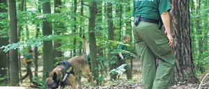 Suche im Tegeler Forst. Eine Hundertschaft der Polizei durchkämmte am Donnerstag das Waldgebiet an der Heiligenseestraße. In der Nähe war das Auto der vermissten Jugendrichterin Kirsten Heisig (48) gefunden worden. Auch Spürhunde wurden eingesetzt. Die Polizei hatte zunächst keine Hinweise für ihr Verschwinden. Fotos: dpa/Bachmann, ddp/Gottschalk