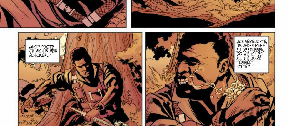 Im freien Fall: Eine Szene aus dem Comic.