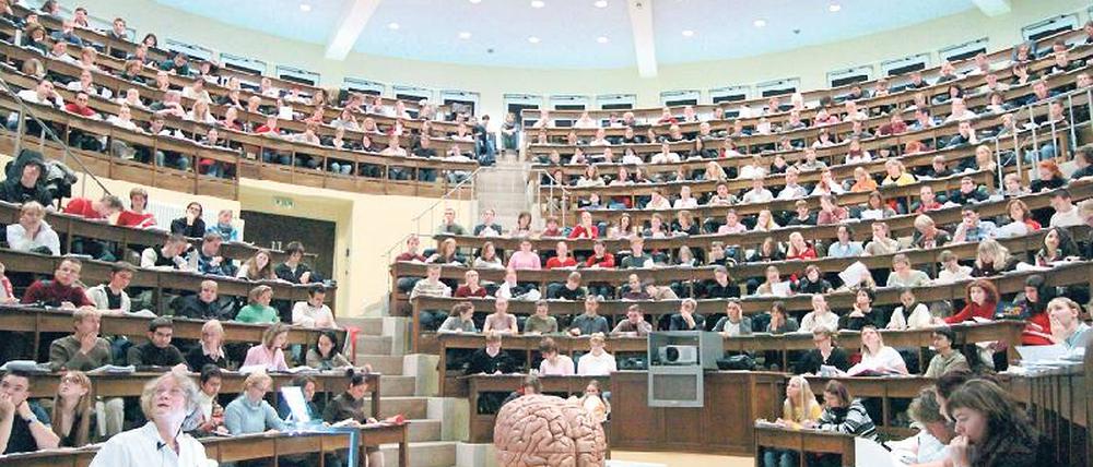 Spaß an Didaktik. Zu der beruflichen Laufbahn an der Hochschule gehört auch das Unterrichten. Foto: Picture Alliance