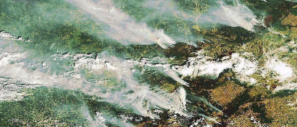 31. Juli: Mit einem Großaufgebot von hunderttausenden Helfern versuchen die russischen Behörden die verheerenden Waldbrände im europäischen Teil des Landes in den Griff zu bekommen. Fast 240.000 Feuerwehrleute sind im Kampf gegen die Flammen im Einsatz, wie das Katastrophenschutzministerium mitteilte.