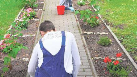 In der Einrichtung haben die Jugendlichen einen geregelten Tagesablauf – manche zum ersten Mal in ihrem Leben. Dabei übernehmen sie verschiedene Aufgaben wie Unkrautjäten. 
