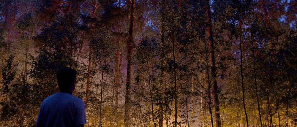 Ein Mann starrt in Beelomut in die brennenden Wälder. 