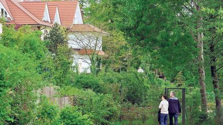 Teures Grün. Am heutigen Freitag endet die Angebotsfrist für den Uferstreifen am Griebnitzsee.