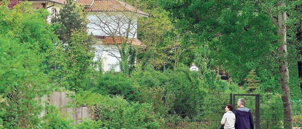 Teures Grün. Am heutigen Freitag endet die Angebotsfrist für den Uferstreifen am Griebnitzsee.