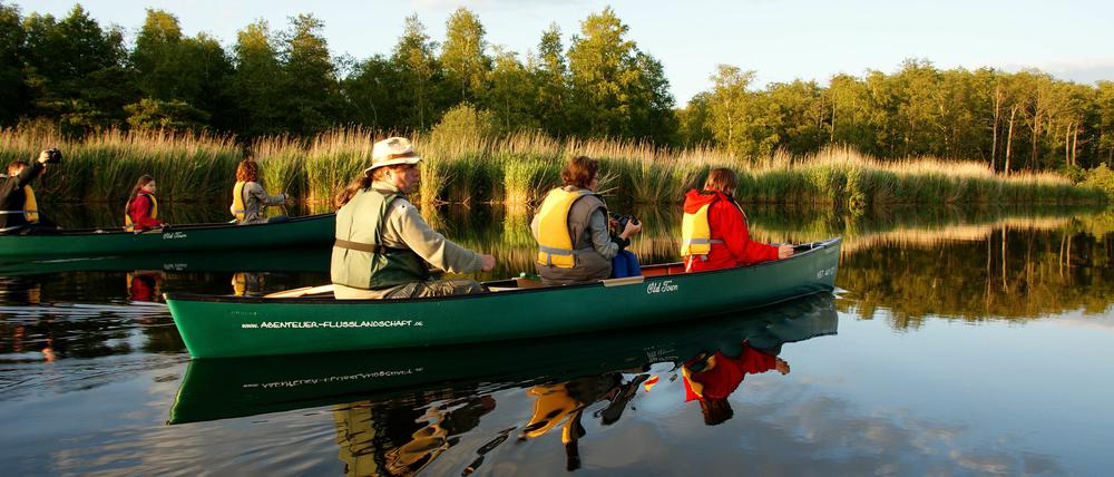 Alles im Fluss. Im Wasser schwimmen Biber, Fischotter, Aale und Brassen. Und manchmal kreist oben am Himmel ein Seeadler.