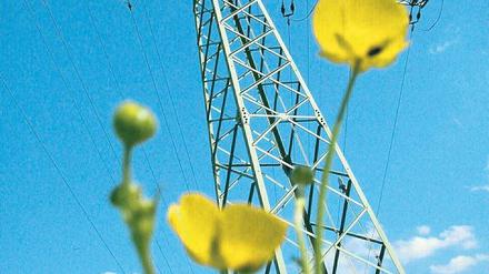 Unter Strom. Freileitungen lehnen viele Anwohner projektierter Trassen wegen befürchteter gesundheitlicher Schäden ab.