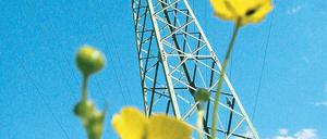 Unter Strom. Freileitungen lehnen viele Anwohner projektierter Trassen wegen befürchteter gesundheitlicher Schäden ab.