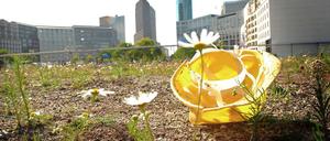 Blühende Landschaft. Nach dem Willen des Investors sollen am 1.Dezember Bagger auf das Wertheim-Areal rollen. Nun klagen aber die Nachbarn gegen die Pläne.