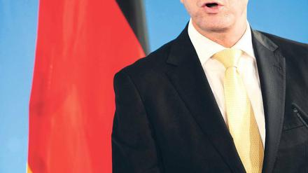 Bundesaußenminister Guido Westerwelle.