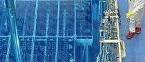 Vor dem Neustart. Das Brennelementebecken des Atomkraftwerks Krümmel. Foto: dpa