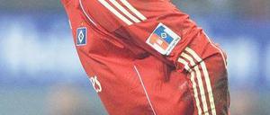 Hamburger Ersatz. Jaroslav Drobny darf sich beim HSV bewähren. Foto: dpa