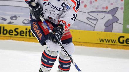 Er rennt wieder an für die Eisbären. Steve Walker.