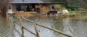 Große Flächen Brandenburgs stehen unter Wasser.